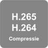 H.265 en H.264